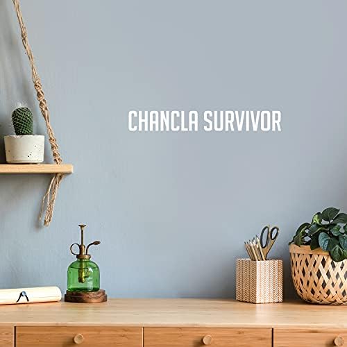 Vinylová nástenná umelecká nálepka - Chancla Survivor-3 x 20 - trendová sarkastická vtipná nálepka pre dospelých