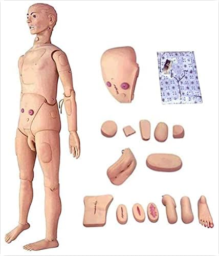 Nihe multifunkčný simulátor starostlivosti o pacienta ľudský anatomický Model PVC ošetrovateľská figurína pre